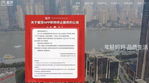 蜜芽App將關停 多次違反價格法與互聯網文化監管成隱患